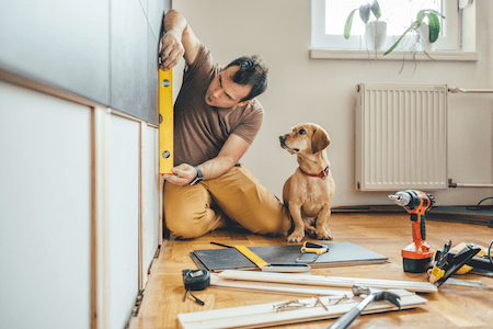 Dog next to owner during renovation