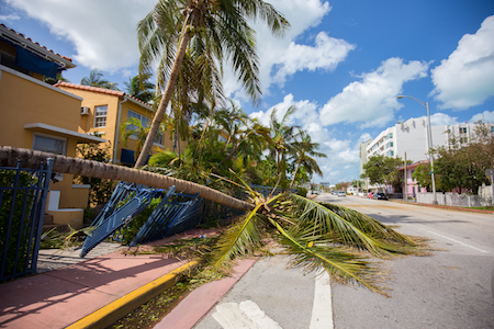 Hurricane damage in a city