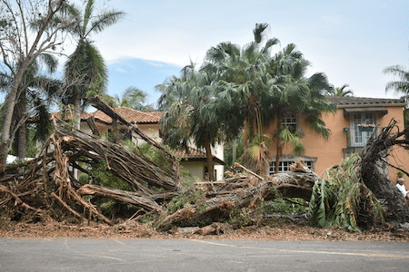 Hurricane damage