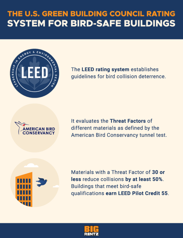 How to Design BirdSafe Buildings BigRentz