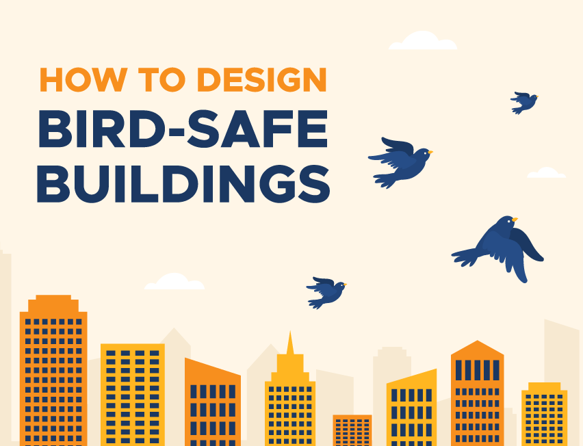 How to Design Bird-Safe Buildings